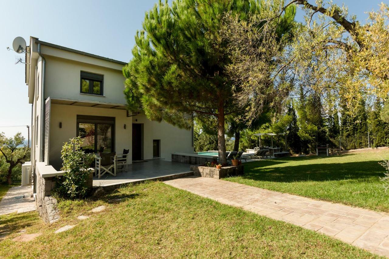 Olivia Estate Villa With Private Swimming Pool Elia Nikitis Eksteriør bilde